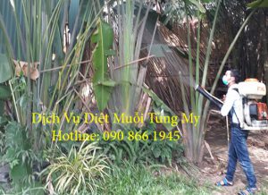 diệt côn trùng tại đồng nai