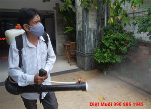 diet con trung tai quan 9