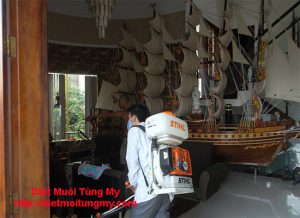 phun con trung tai tphcm