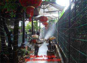 Dich vu diet con trung tai binh duong