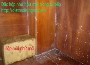 ban thuoc diet moi tai quan 7