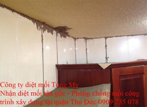 cong ty diet moi tai quạn 8