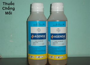 thuoc phong chong moi