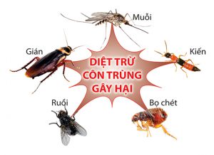diet moi tai nha