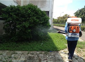 diet con trung tai tan uyen