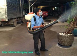 diệt côn trùng tại thuận an