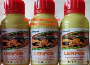 thuốc diệt mối