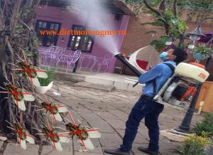 diet con trung chon thanh