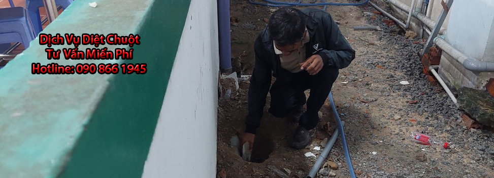 diet chuot binh duong