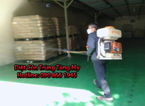 dich vu diet con trung tai go cong