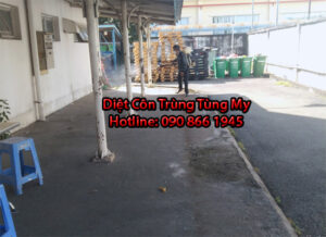 diet con trung tai tan uyen