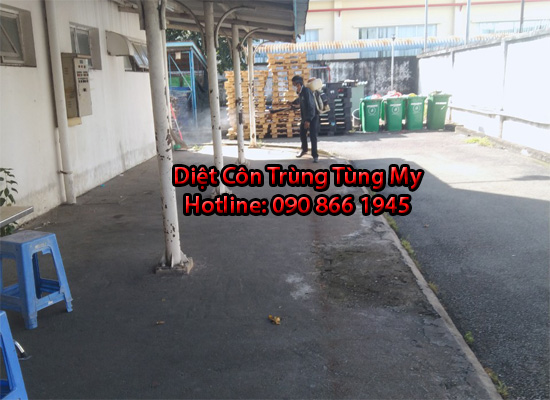 phun thuoc diet con trung tai go cong