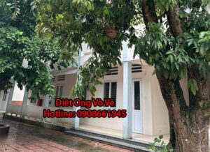 dich vu diet con trung tai di an