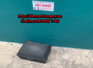 bẫy chuột